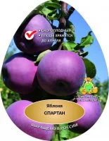 Яблоня Спартан сетка h150 см
