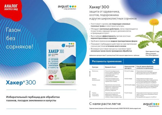 Средство от сорняков Avgust Хакер 300 жидкость 9 мл
