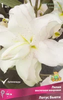 Лилия восточная Мах Лотус Бьюти