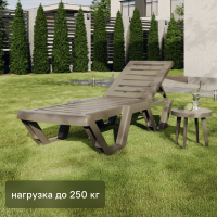 Шезлонг Атлант 184x62x33 см пластик цвет мокко