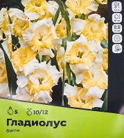 Гладиолус Багги луковицы 10/12, 5 шт.