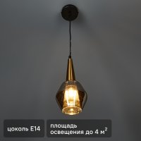Светильник подвесной FR8008PL-01GB 1 лампа 2 м² цвет зеркально дымчатый