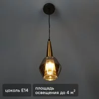 Светильник подвесной FR8008PL-01GB 1 лампа 2 м² цвет зеркально дымчатый