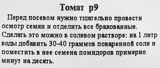 Рассада Томат ø9 h15 см