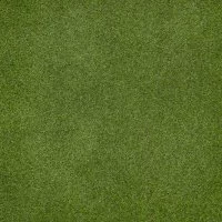 Искусственный газон «Grass» толщина 17 мм 1x2 м (рулон) цвет зеленый