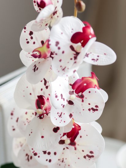 Искусственное растение в горшке орхидея h50 см цвет тигровый