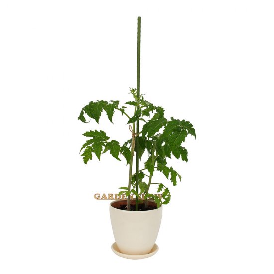 Опора для растений Garden Show пластик/металл 600 мм (466135)