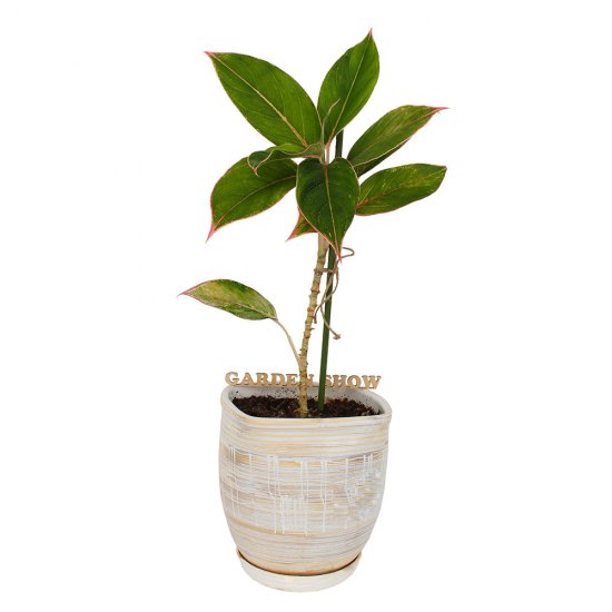 Опора для растений Garden Show пластик/металл 600 мм (466135)