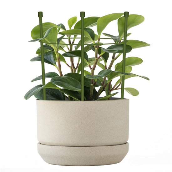 Опора для растений Garden Show круглая металл 250 мм (466333)