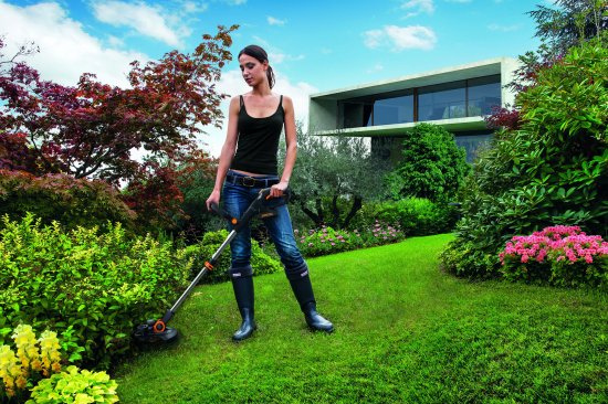 Триммер аккумуляторный Worx WP165E 20 В 1x2 Ач АКБ и ЗУ входит в комплект