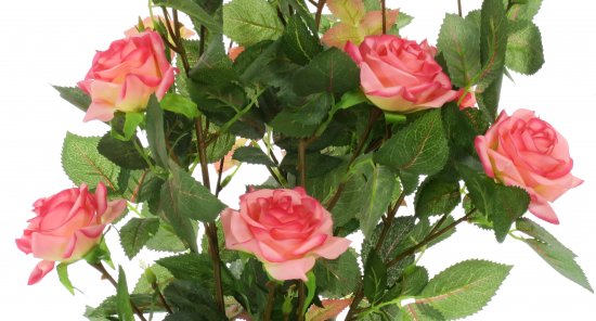 Искусственное растение в горшке роза Салем h50 см цвет розовый