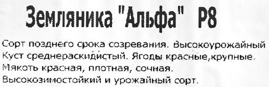 Земляника Альфа 8x7 см