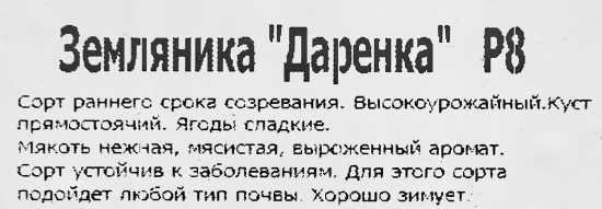 Земляника Даренка 8x7 см