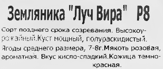 Земляника Луч Вира 8x7 см