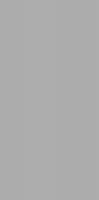 Плитка облицовочная Lavelly Monocromo Gray 600x300x9 мм (10 шт.=1,8 кв.м)