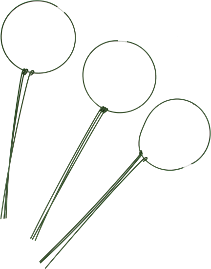 Поддержка кольцо для растений Green Apple ø14 h28 см