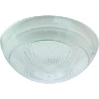 Ecola TP53T1ECR