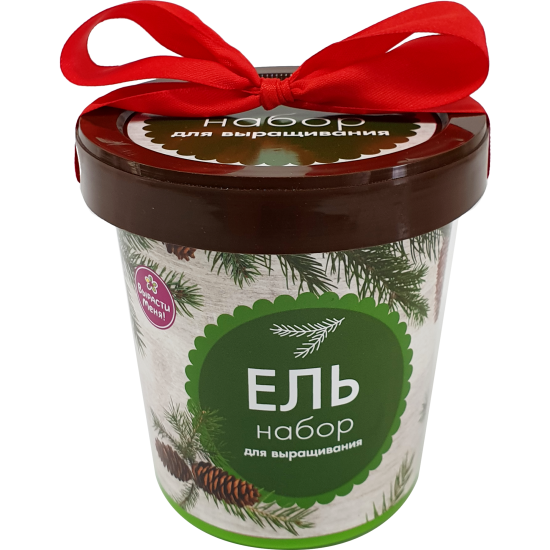 Ель в горшке