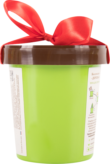 Ель в горшке