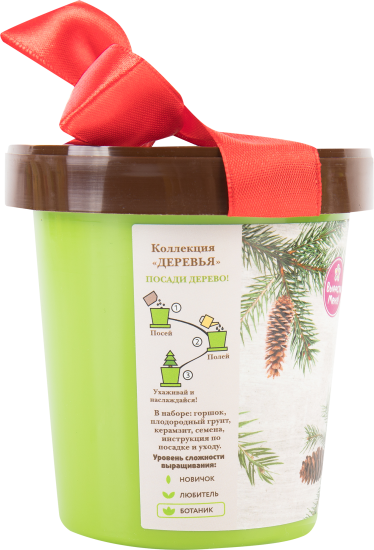 Ель в горшке