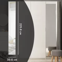 Дверь с зеркалом для шкафа Лион 39.6x225.8x2 см ЛДСП цвет белый