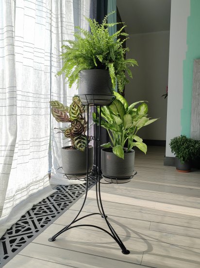 Стойка для цветов Ирис-3 43x38x76 см металл цвет черный