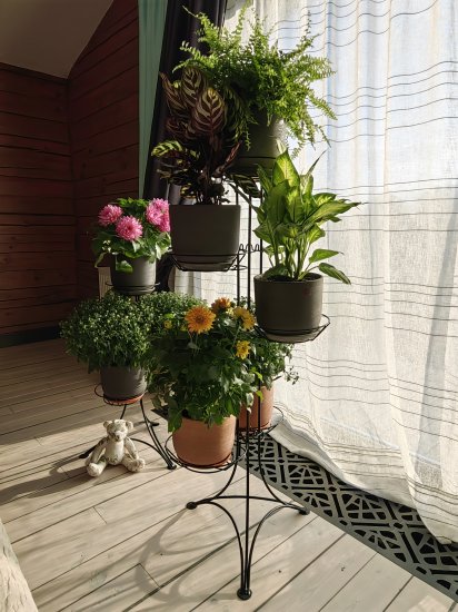 Стойка для цветов Ирис-5 43x38x118 см металл цвет черный