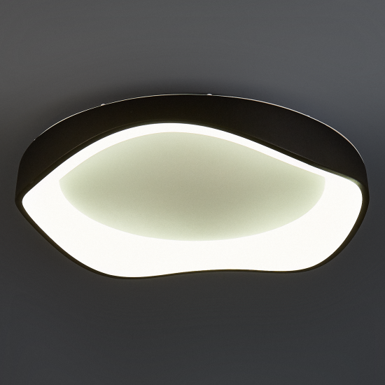 Светильник настенно-потолочный светодиодный Arte Lamp Ankaa 55 Вт 15 м² регулируемый белый цвет света цвет черный