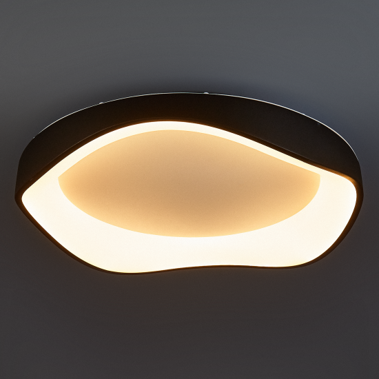 Светильник настенно-потолочный светодиодный Arte Lamp Ankaa 55 Вт 15 м² регулируемый белый цвет света цвет черный