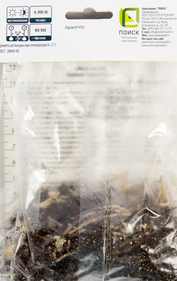 Лилия азиатская «Розалин», размер луковицы 14/16