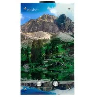 Колонка газовая Oasis Eco L-20 10 л/мин цвет разноцветный