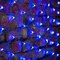 Светодиодная гирлянда Neon-Night Сеть