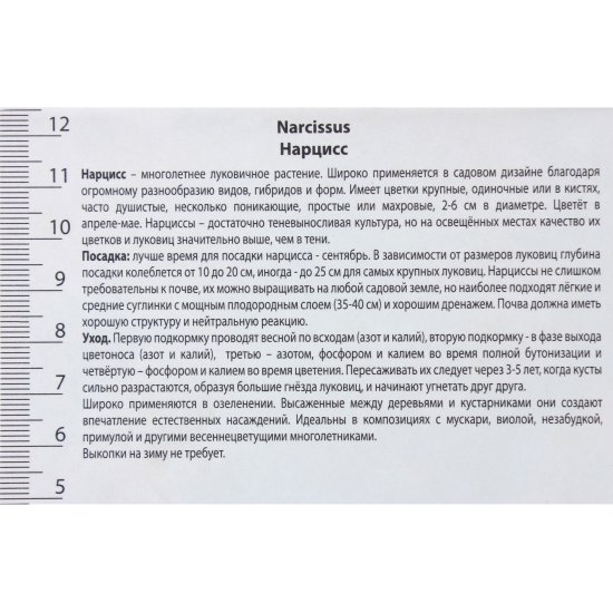 Нарцисс с расщеплённой коронкой «Кассата», высота 40 см, 3 шт.