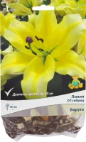 Лилии ОТ-гибриды «Барута», размер луковицы 14/16, 1 шт.