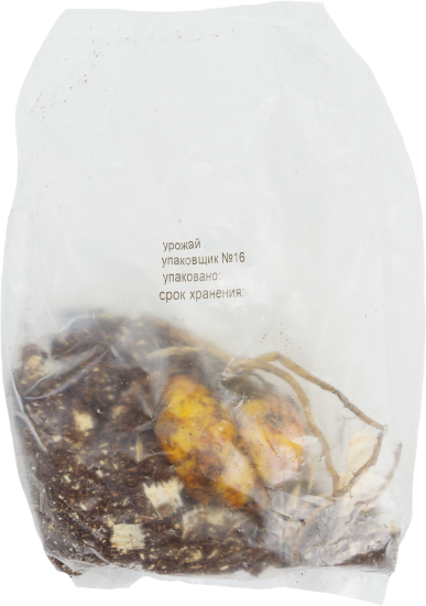 Лилии ОТ-гибриды «Барута», размер луковицы 14/16, 1 шт.