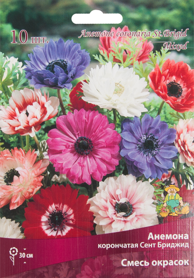 Анемона корончатая «Сент Бриджит микс», размер луковицы 5/6, 10 шт.