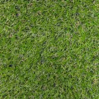 Искусственный газон «Grass» толщина 17 мм ширина 2 м цвет зеленый