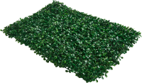 Фитопанно Изумруд 40x60 см