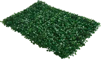 Фитопанно Изумруд 40x60 см