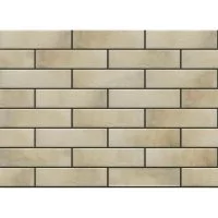 Клинкерная плитка для фасада Cerrad Retro brick salt (38 шт.=0,6 кв.м) серая 245х65х8 мм