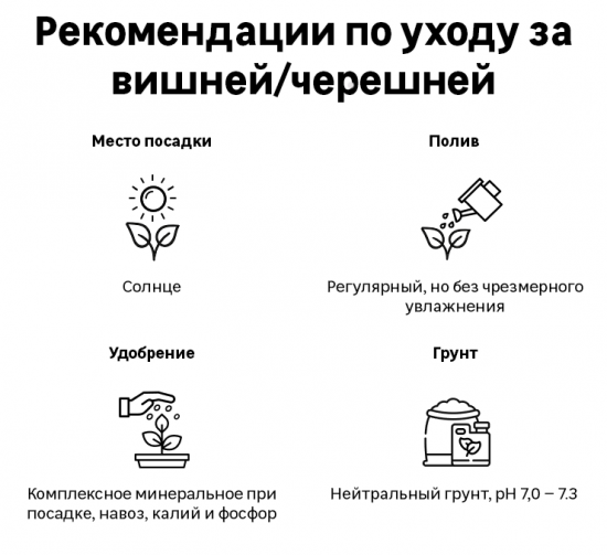Саженец Вишня микс h150 см Поиск инвест