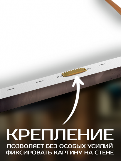 Картина Утренняя эстетика 40x50 см