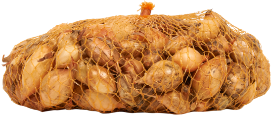 Лук-севок Стурон 10/21 мм 0.5 кг