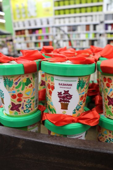 Горшок «Базилик фиолетовый»