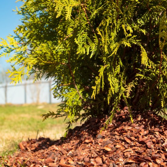 Мульча Interrasa Какаовелла 60 л