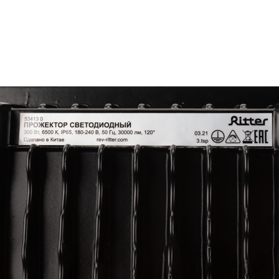 Прожектор светодиодный Ritter Profi 6500К 300 Вт IP65 черный