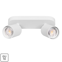 Спот поворотный Arte Lamp Aquarius 2 лампы GU10 4 м² цвет белый