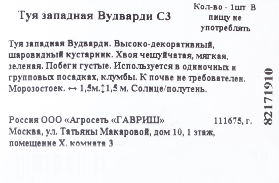 Туя западная «Вудварди» C3