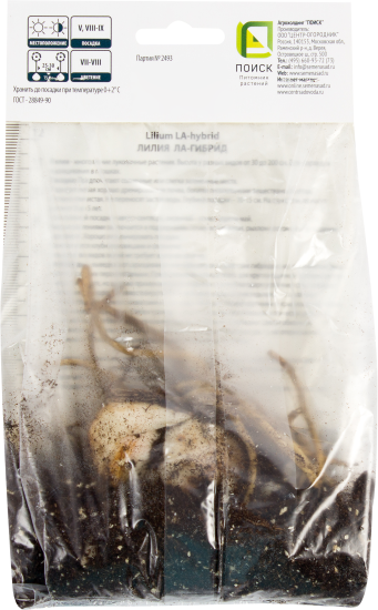 Лилия ЛА-гибрид «Литовен», размер луковицы 14/16