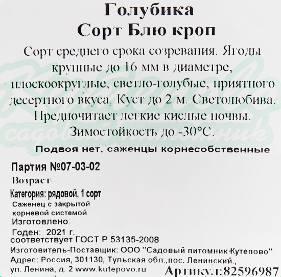 Голубика «Блю Кроп» C2 высота 30 см